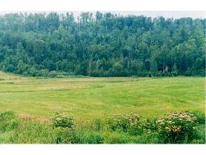 - Valley Road Holland, VT 05830 - Photo 4 of 4 Gallery Image 4