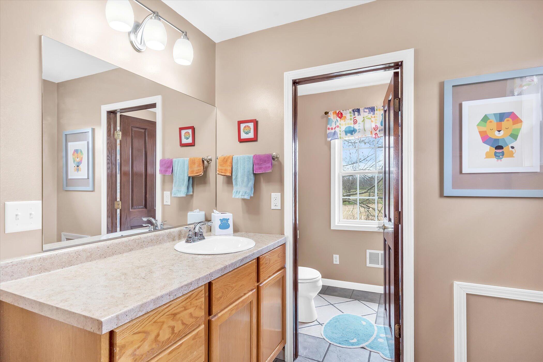 8495 Giles Road Brooklyn, MI 49230 - Photo 26 of 48 Upstairs Full Bath