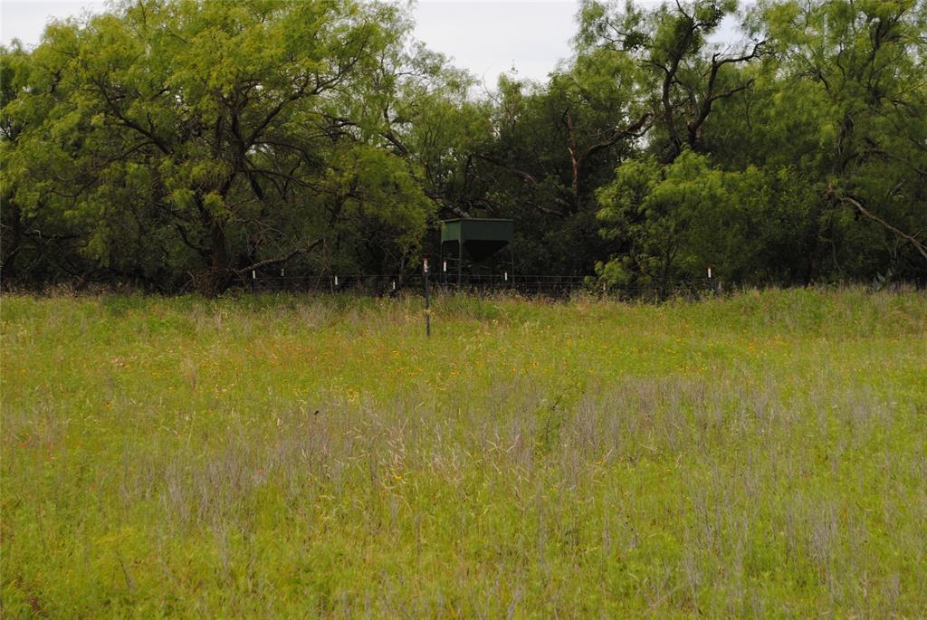 127 Rising Star Tx 76857 May, TX 76857 - Photo 10 of 17