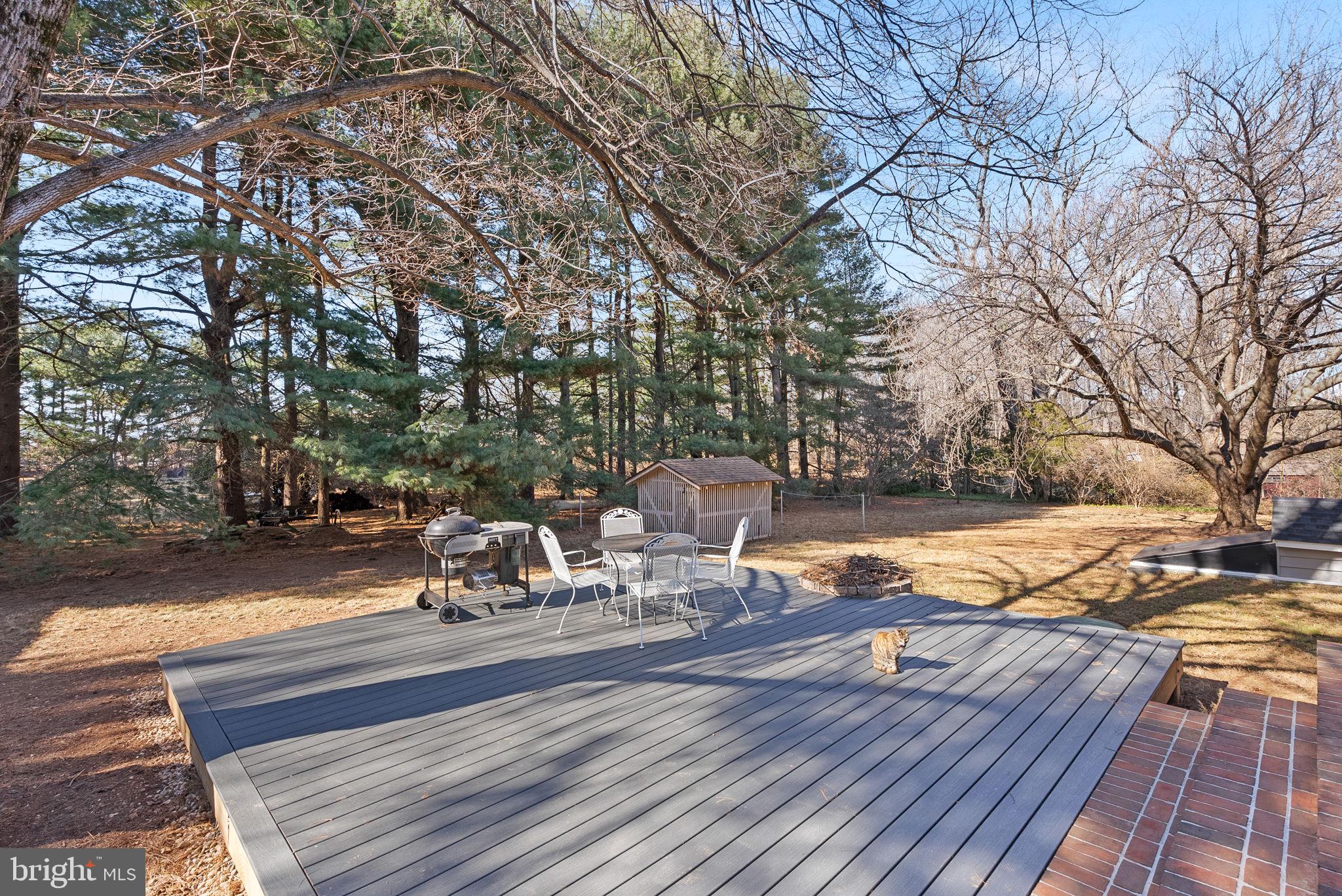 21030 Peach Tree Road Dickerson, MD 20842 - Photo 46 of 64 Deck and firepit