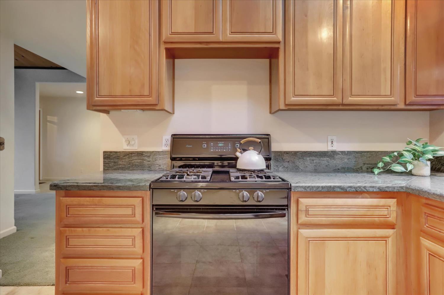 12593 Red Dog Road Nevada City, CA 95959 - Photo 16 of 55