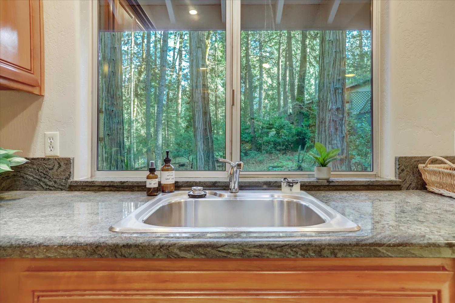 12593 Red Dog Road Nevada City, CA 95959 - Photo 17 of 55