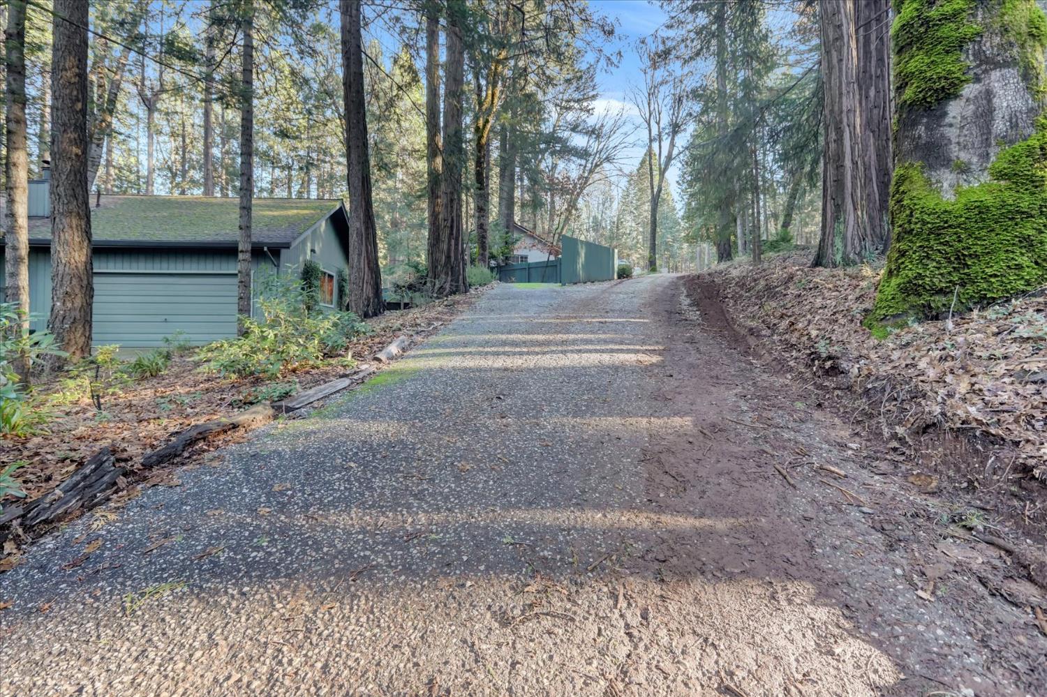 12593 Red Dog Road Nevada City, CA 95959 - Photo 35 of 55 Private road behind home