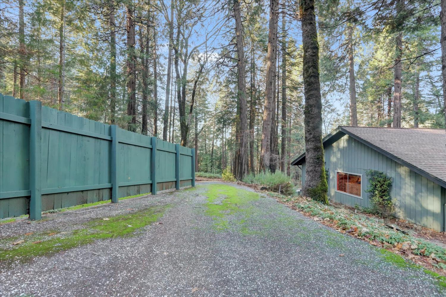 12593 Red Dog Road Nevada City, CA 95959 - Photo 37 of 55