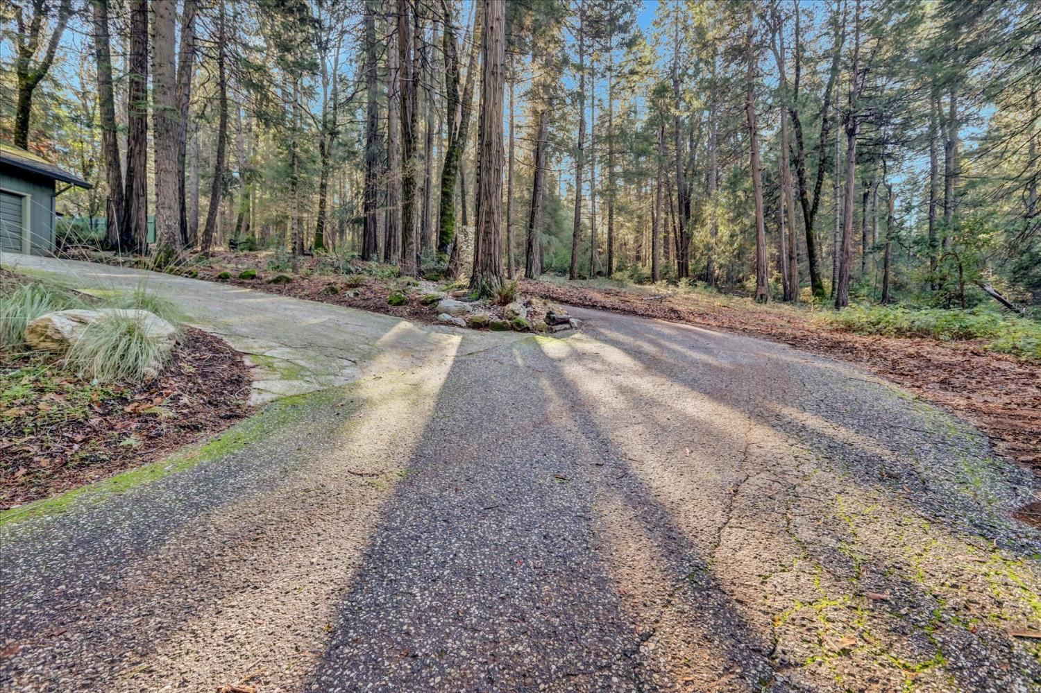 12593 Red Dog Road Nevada City, CA 95959 - Photo 38 of 55