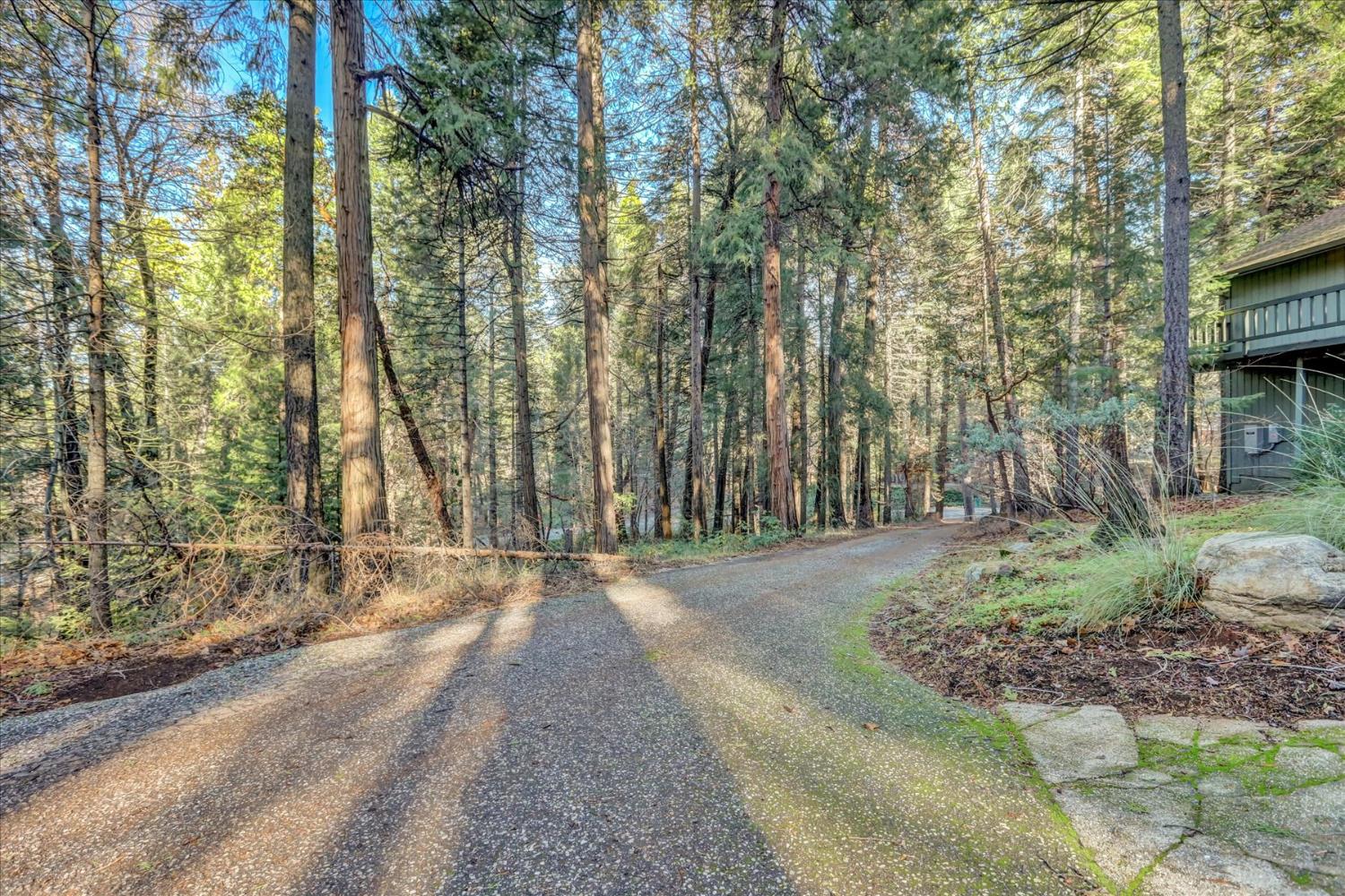 12593 Red Dog Road Nevada City, CA 95959 - Photo 39 of 55
