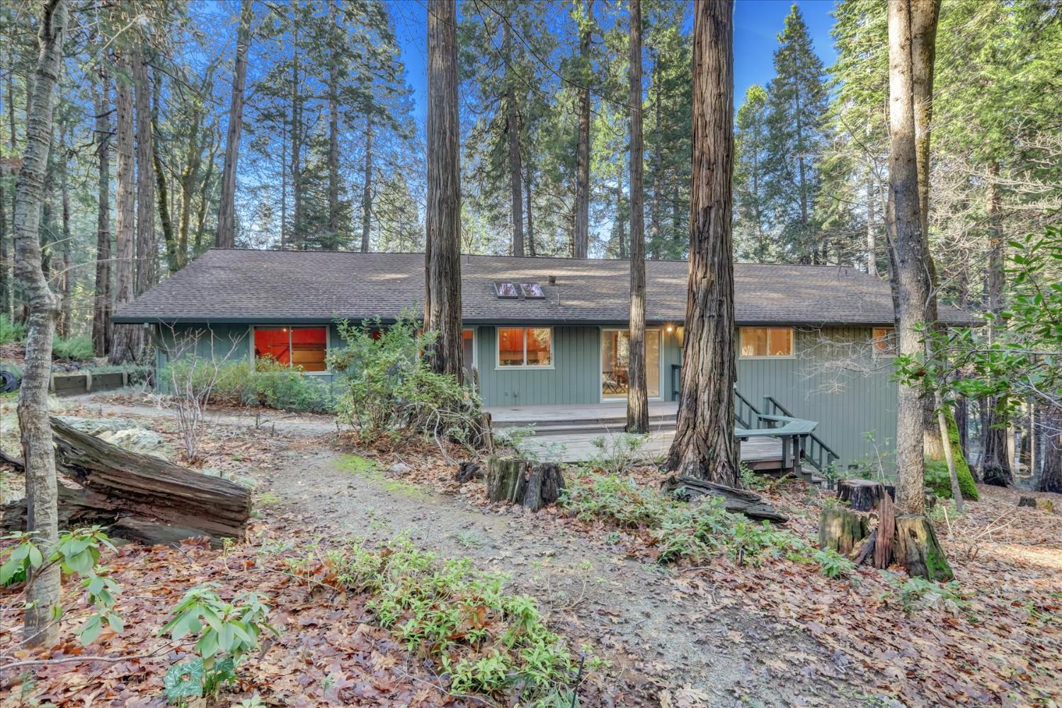 12593 Red Dog Road Nevada City, CA 95959 - Photo 43 of 55