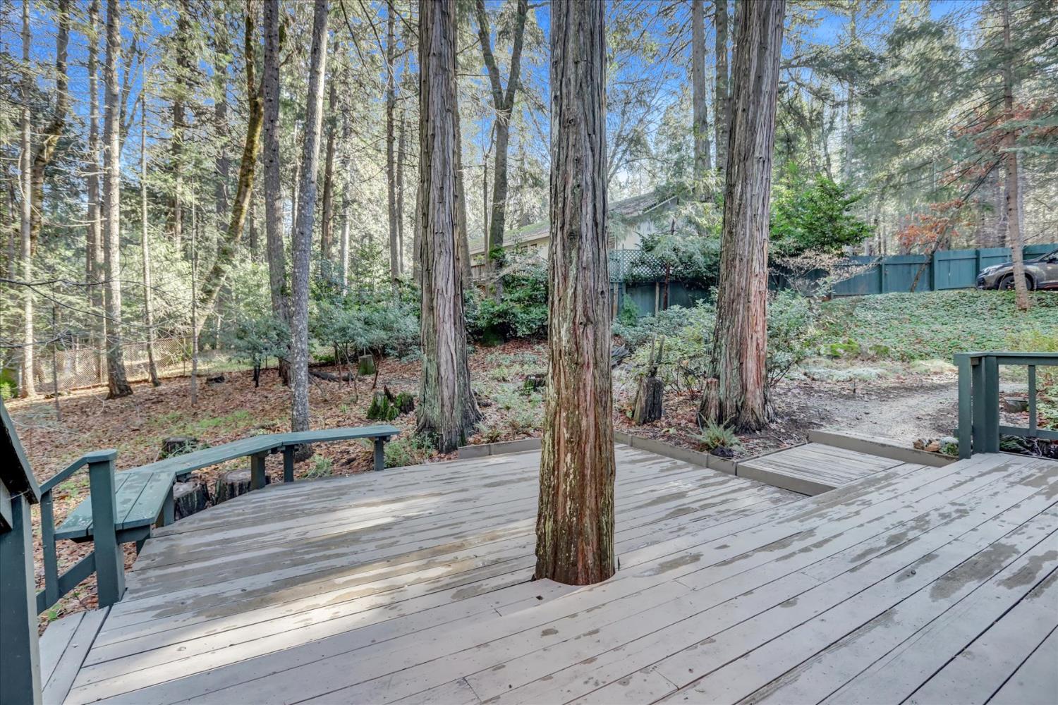 12593 Red Dog Road Nevada City, CA 95959 - Photo 44 of 55 Back deck