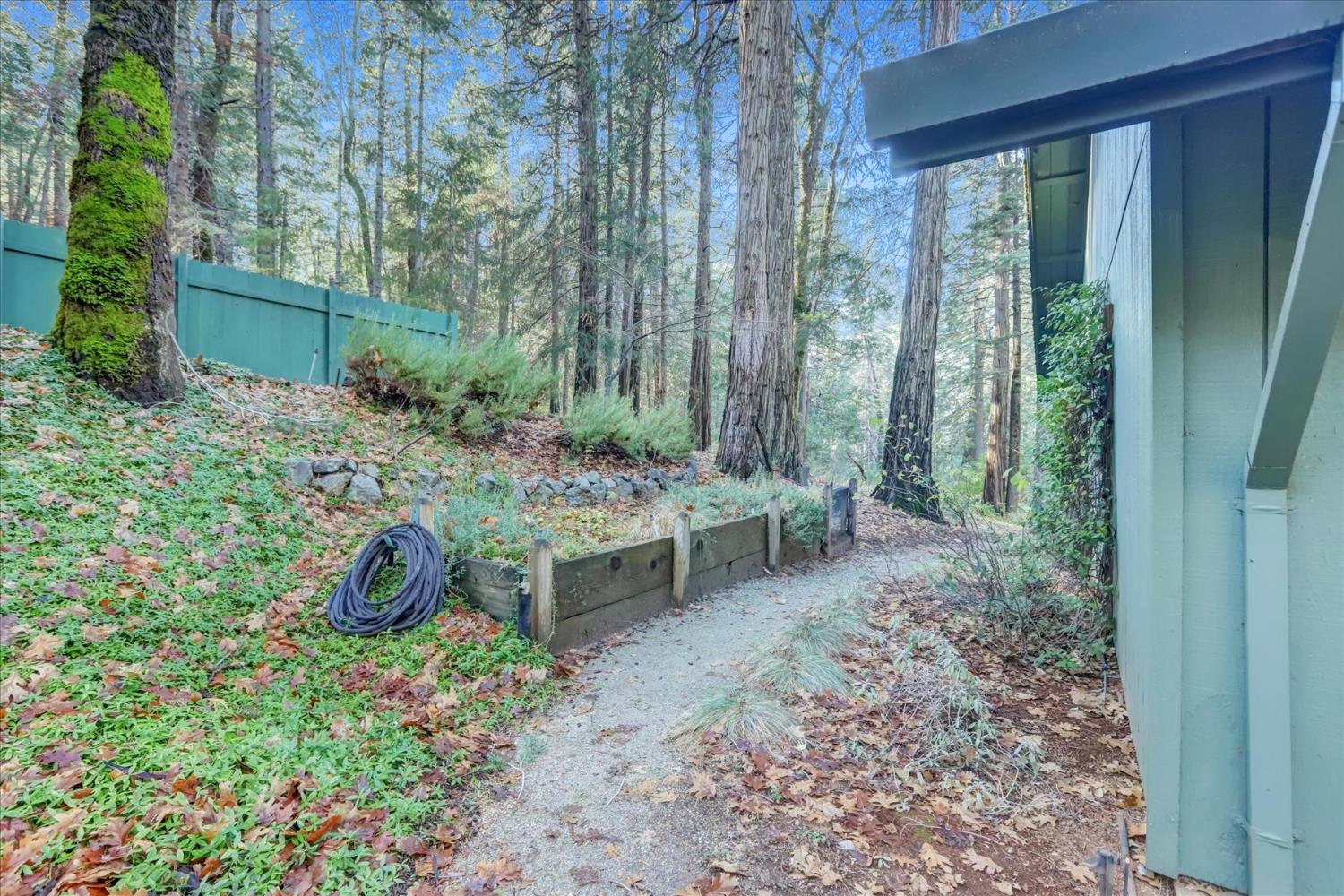 12593 Red Dog Road Nevada City, CA 95959 - Photo 46 of 55