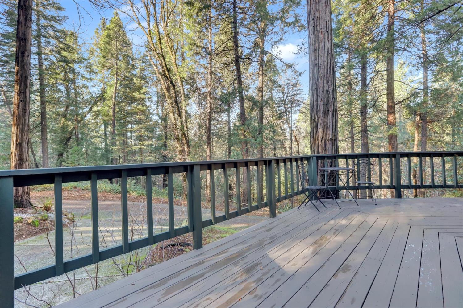 12593 Red Dog Road Nevada City, CA 95959 - Photo 48 of 55