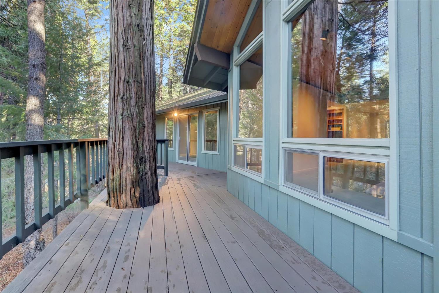 12593 Red Dog Road Nevada City, CA 95959 - Photo 49 of 55