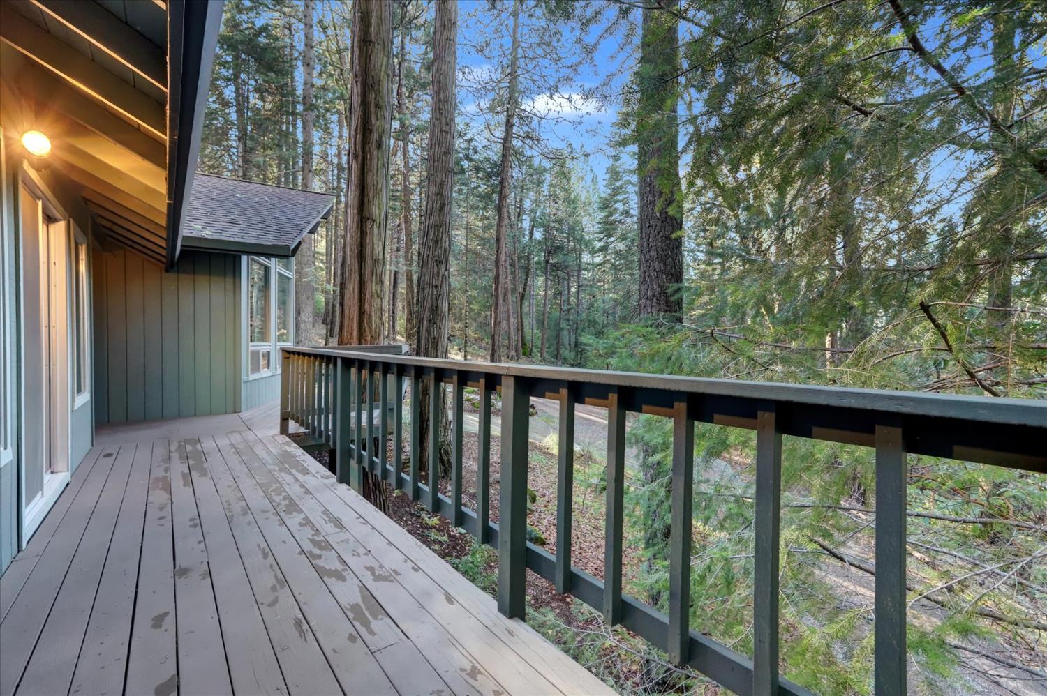 12593 Red Dog Road Nevada City, CA 95959 - Photo 51 of 55