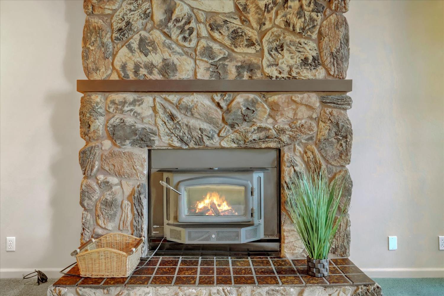 12593 Red Dog Road Nevada City, CA 95959 - Photo 10 of 55