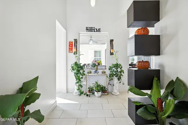 a living room with furniture and a potted plant