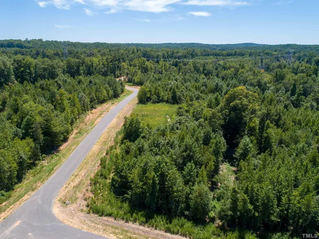 a view of a lush green forest