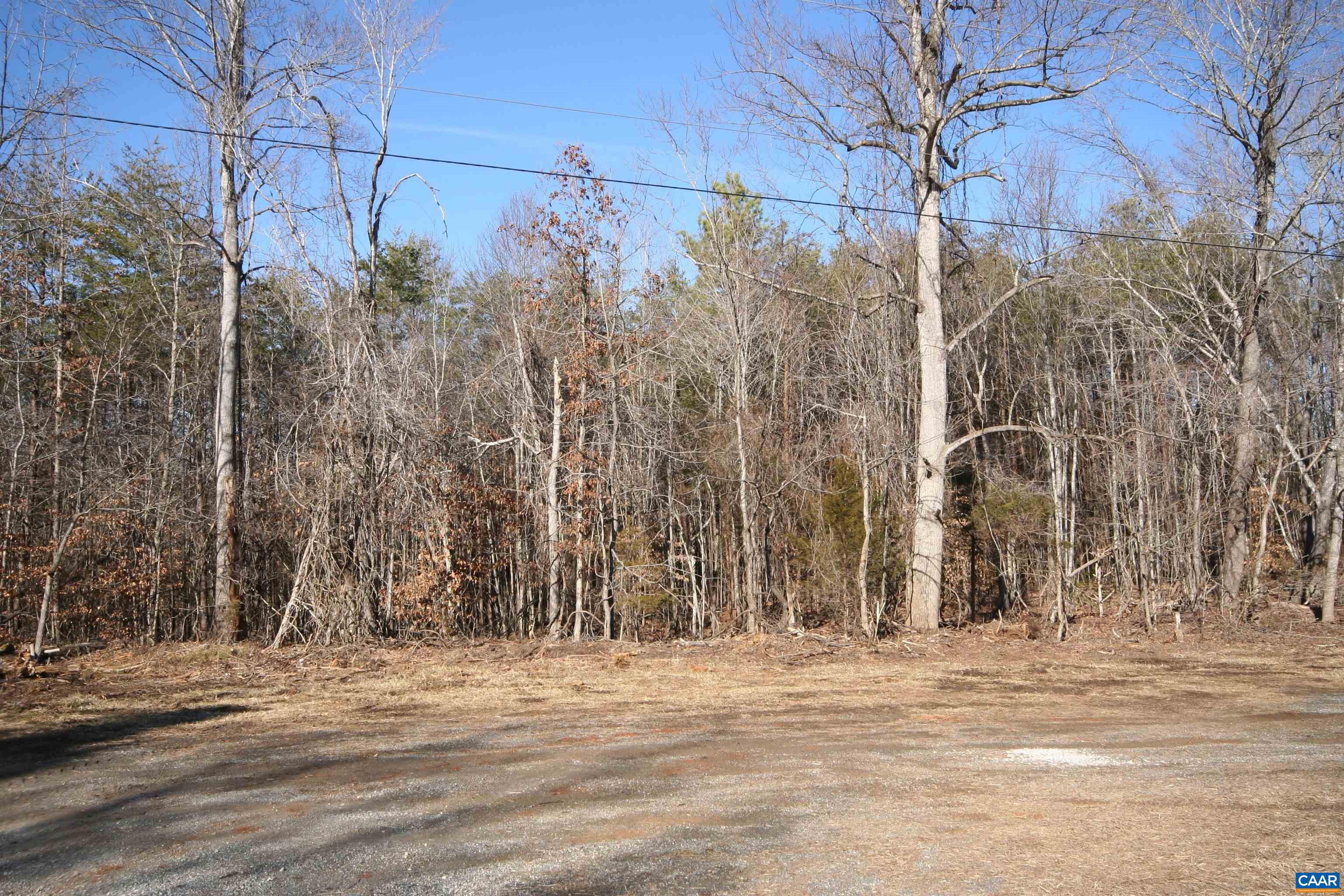 Tba Slate River Mill Road Dillwyn, VA 23936 - Photo 15 of 27 a view of a backyard of the house