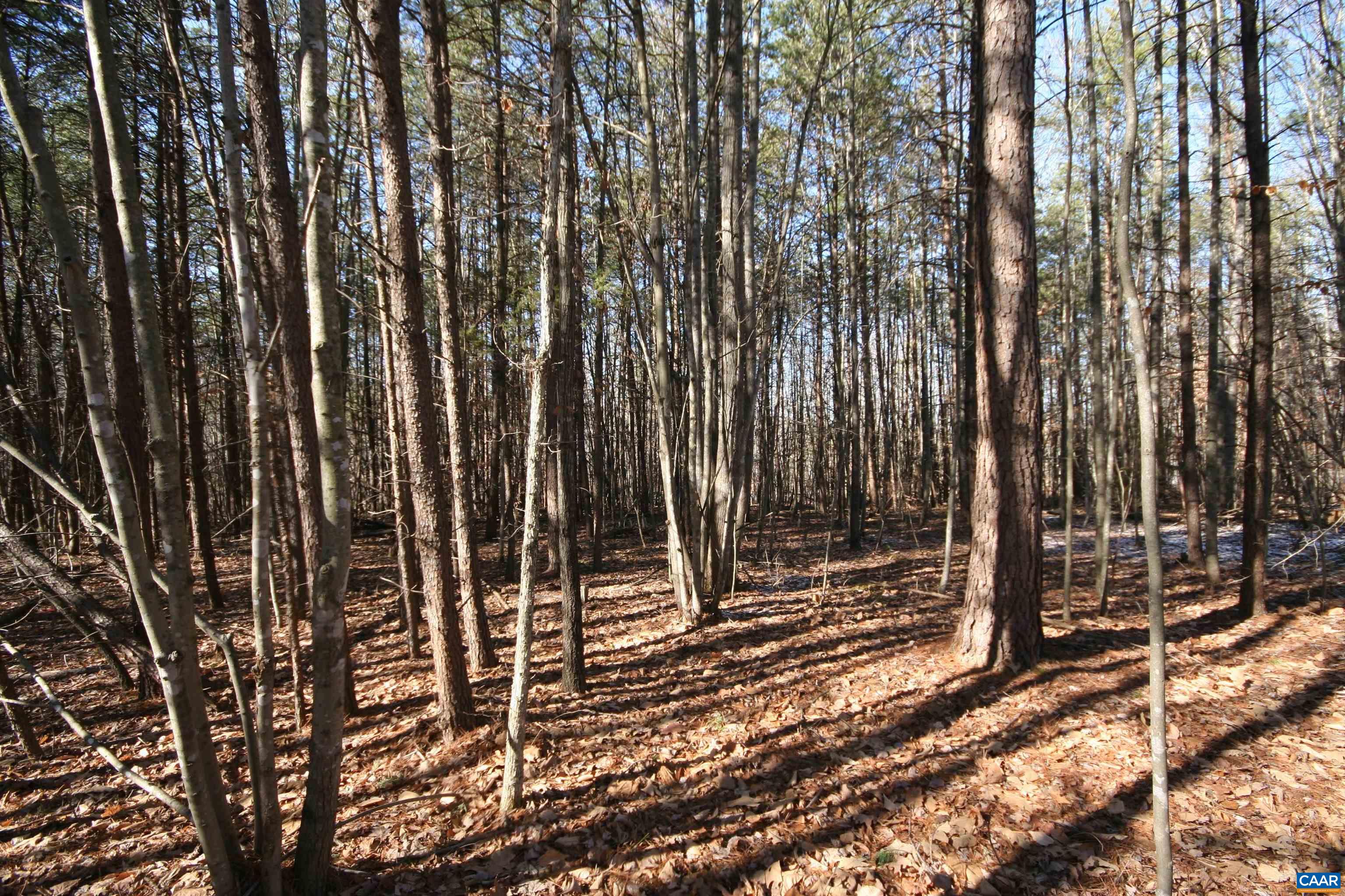 Tba Slate River Mill Road Dillwyn, VA 23936 - Photo 20 of 27 a view of outdoor space with backyard