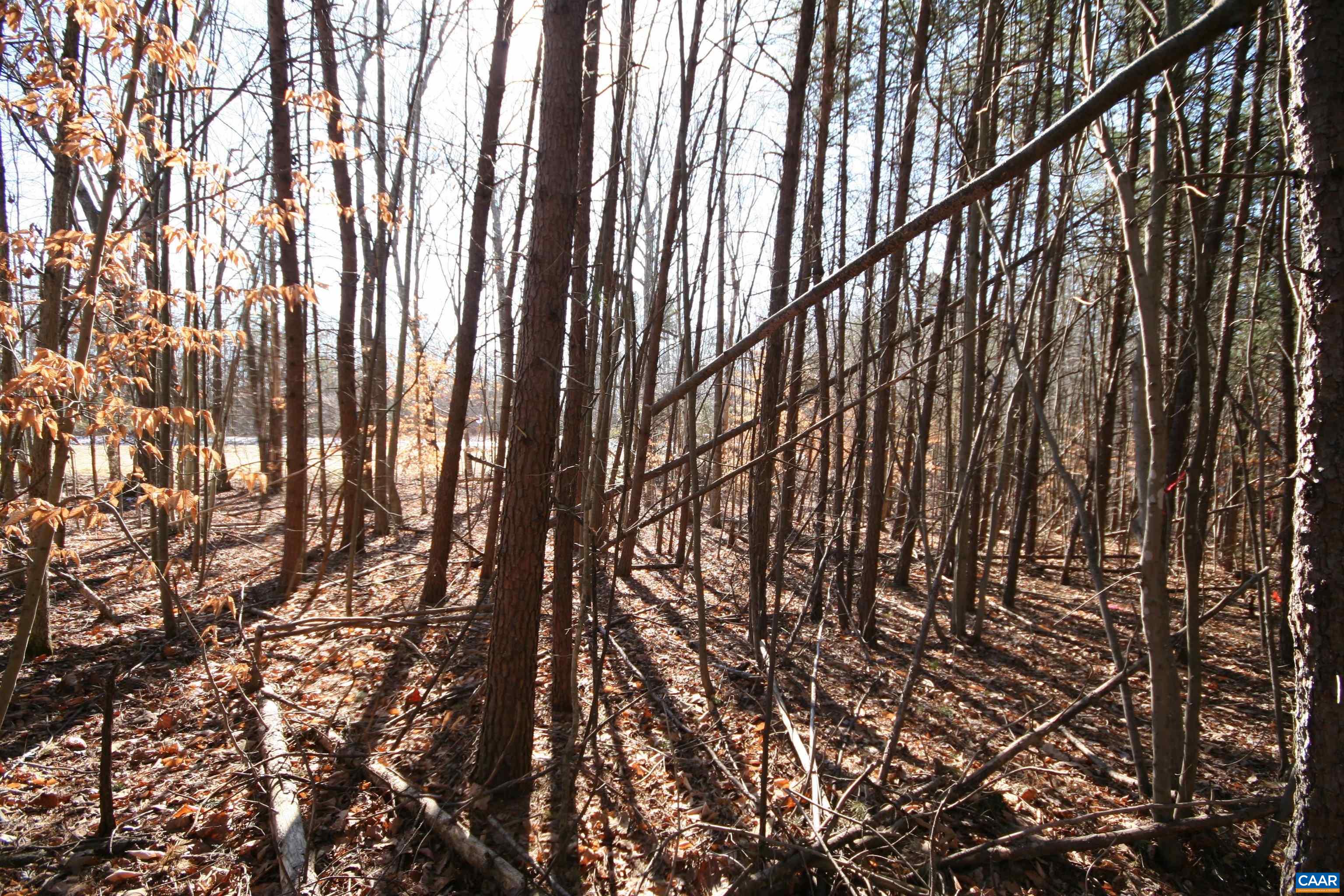 Tba Slate River Mill Road Dillwyn, VA 23936 - Photo 23 of 27