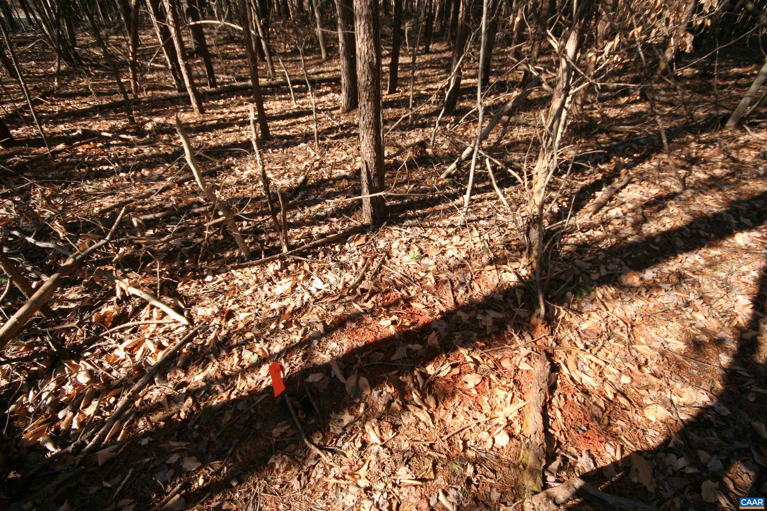 Tba Slate River Mill Road Dillwyn, VA 23936 - Photo 25 of 27 a backyard of a house
