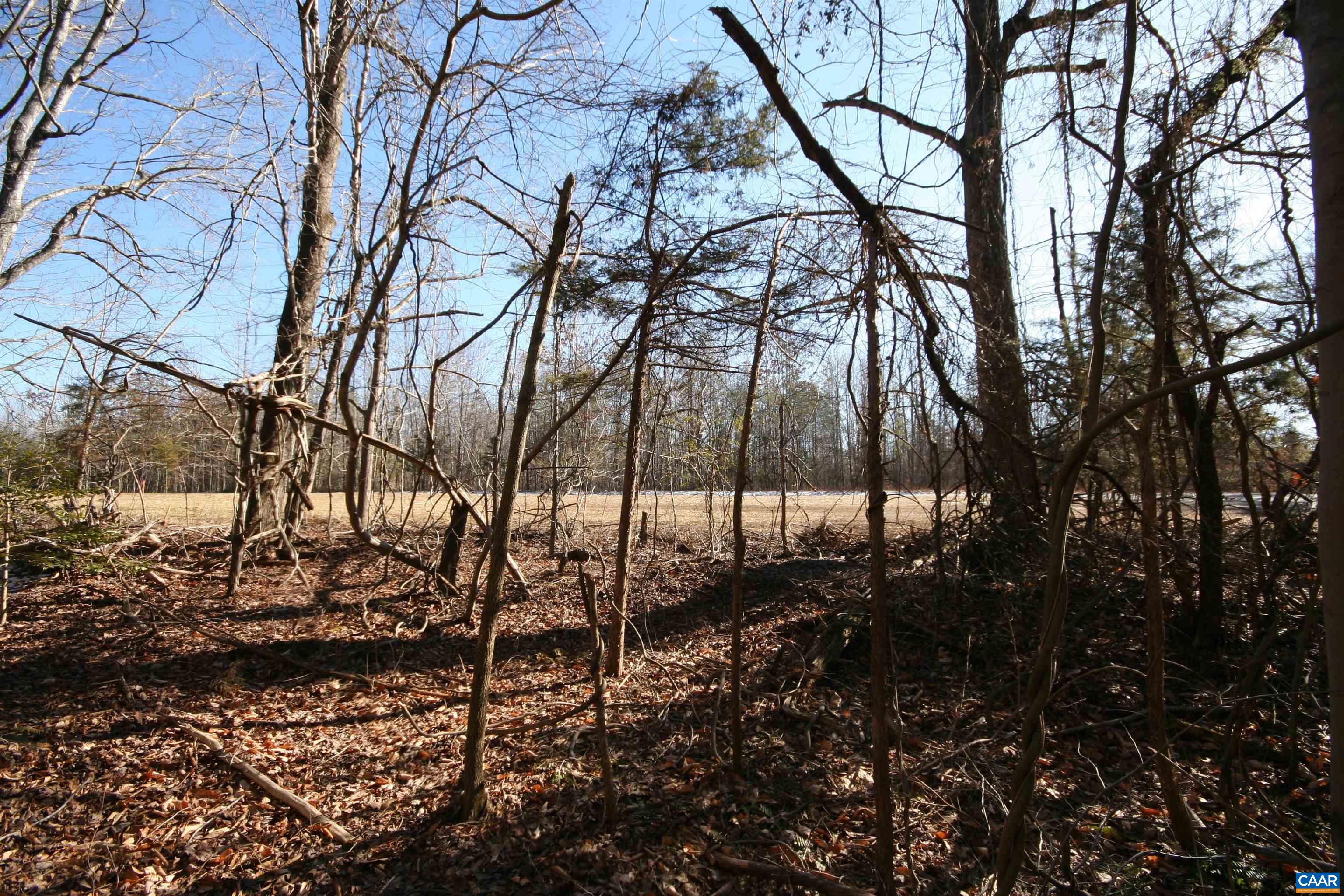 Tba Slate River Mill Road Dillwyn, VA 23936 - Photo 27 of 27 a view of a yard