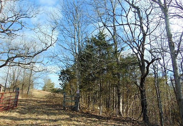 2465 Cedar Road Stamping Ground, KY 40379 - Photo 7 of 13 Gallery Image 7