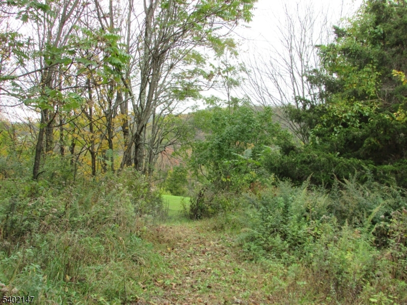 0 Clark Road Sussex, NJ 07461 - Photo 7 of 16