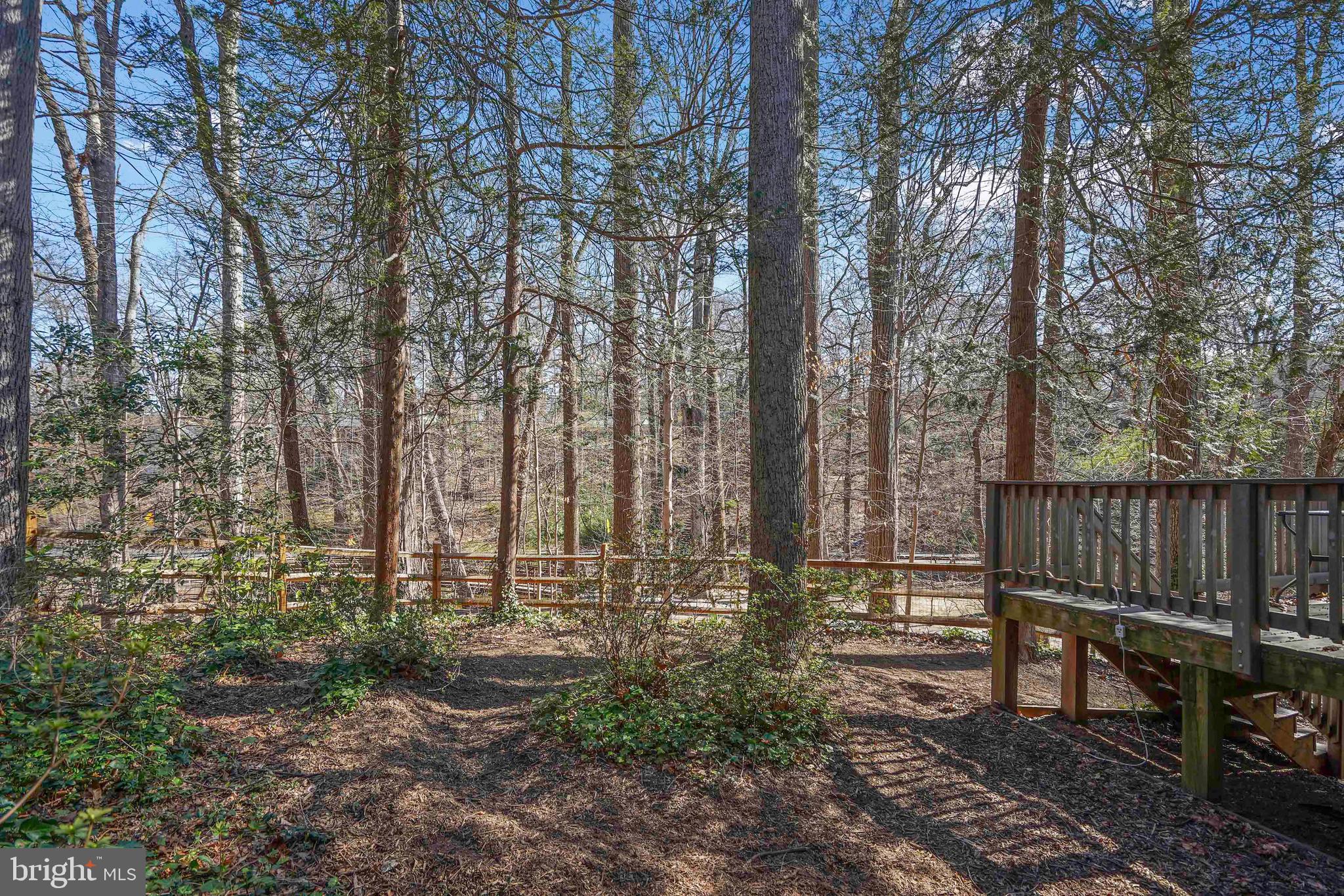 132 Hilltop Road Silver Spring, MD 20910 - Photo 43 of 50 a view of a yard with large trees and wooden fence