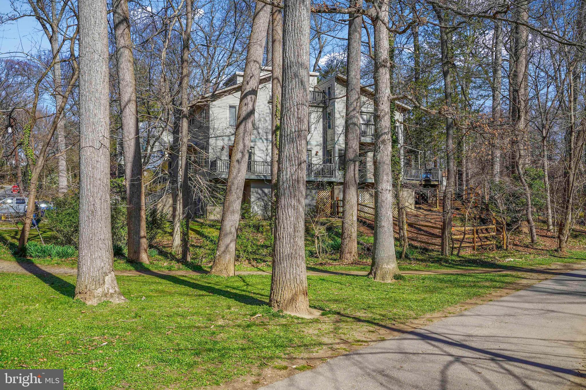 132 Hilltop Road Silver Spring, MD 20910 - Photo 45 of 50 a backyard of a building with lots of trees and plants