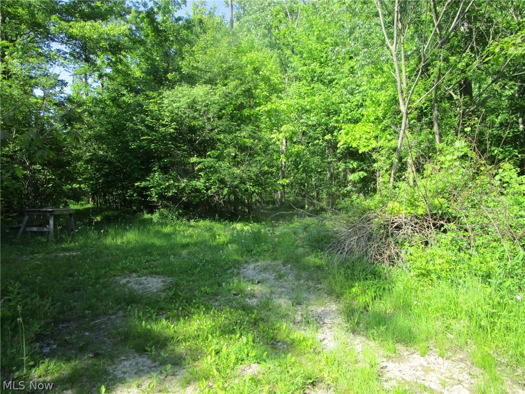4293 Bulah Road Jefferson, OH 44047 - Photo 12 of 46