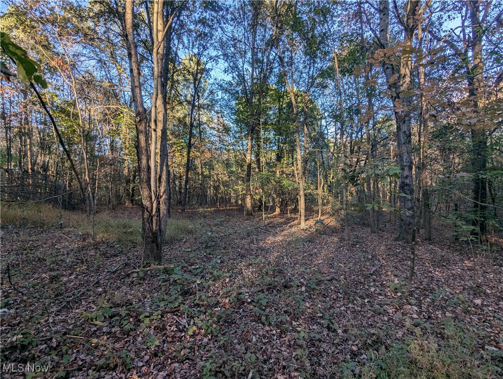 Forbes Road Wellsville, OH 43968 - Photo 27 of 39 Gallery Image 27