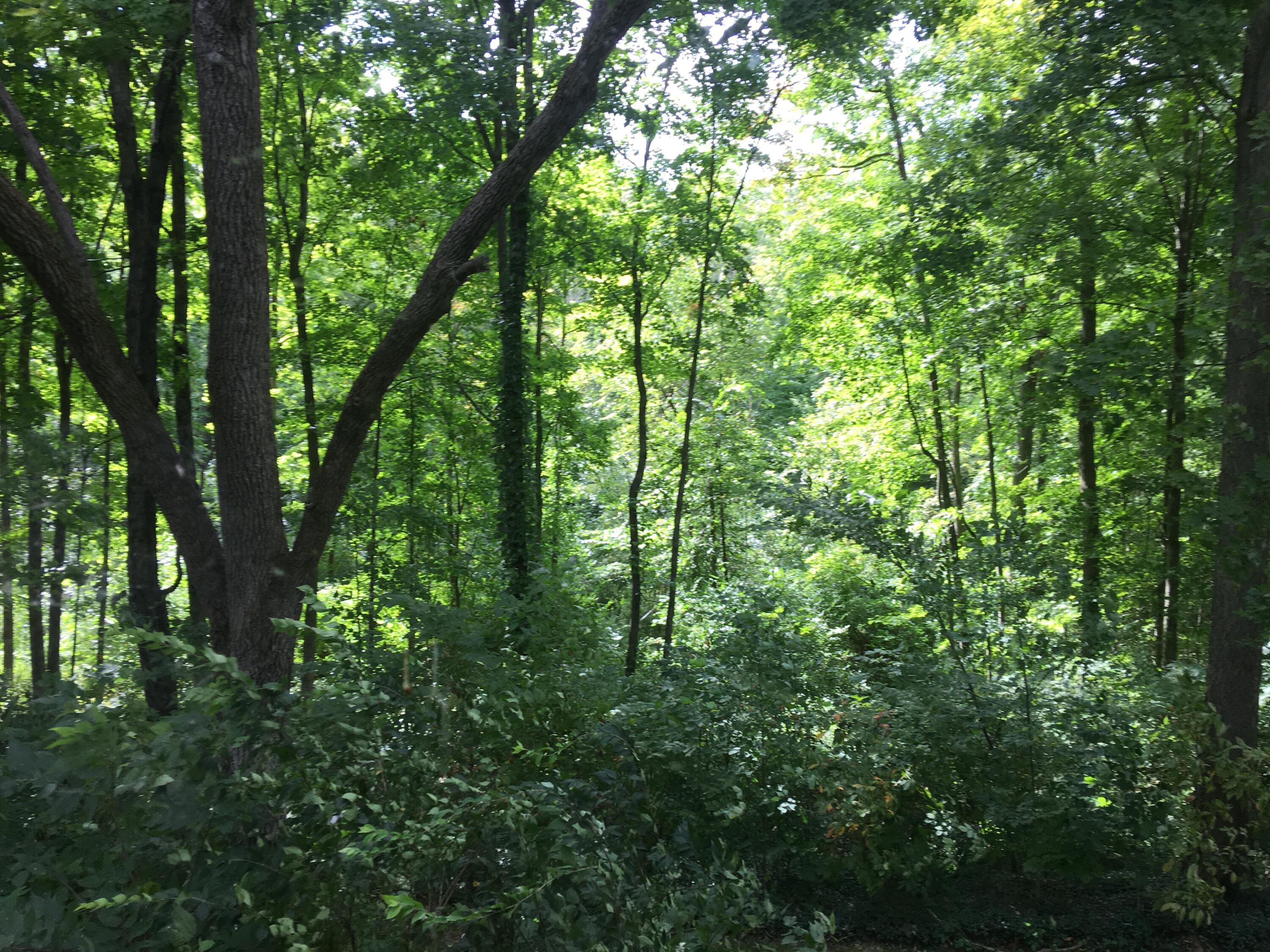 4449 Larue-Prospect Road South Prospect, OH 43342 - Photo 59 of 70