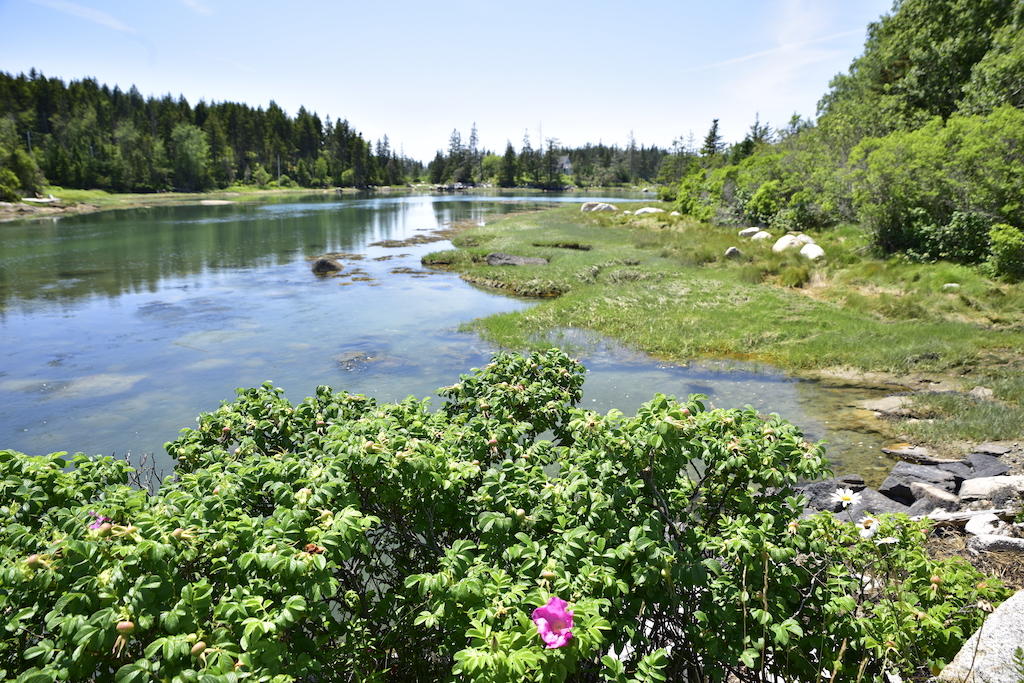 0 Granite Island Road Vinalhaven, ME 04863 - Photo 2 of 7 _DSC5228
