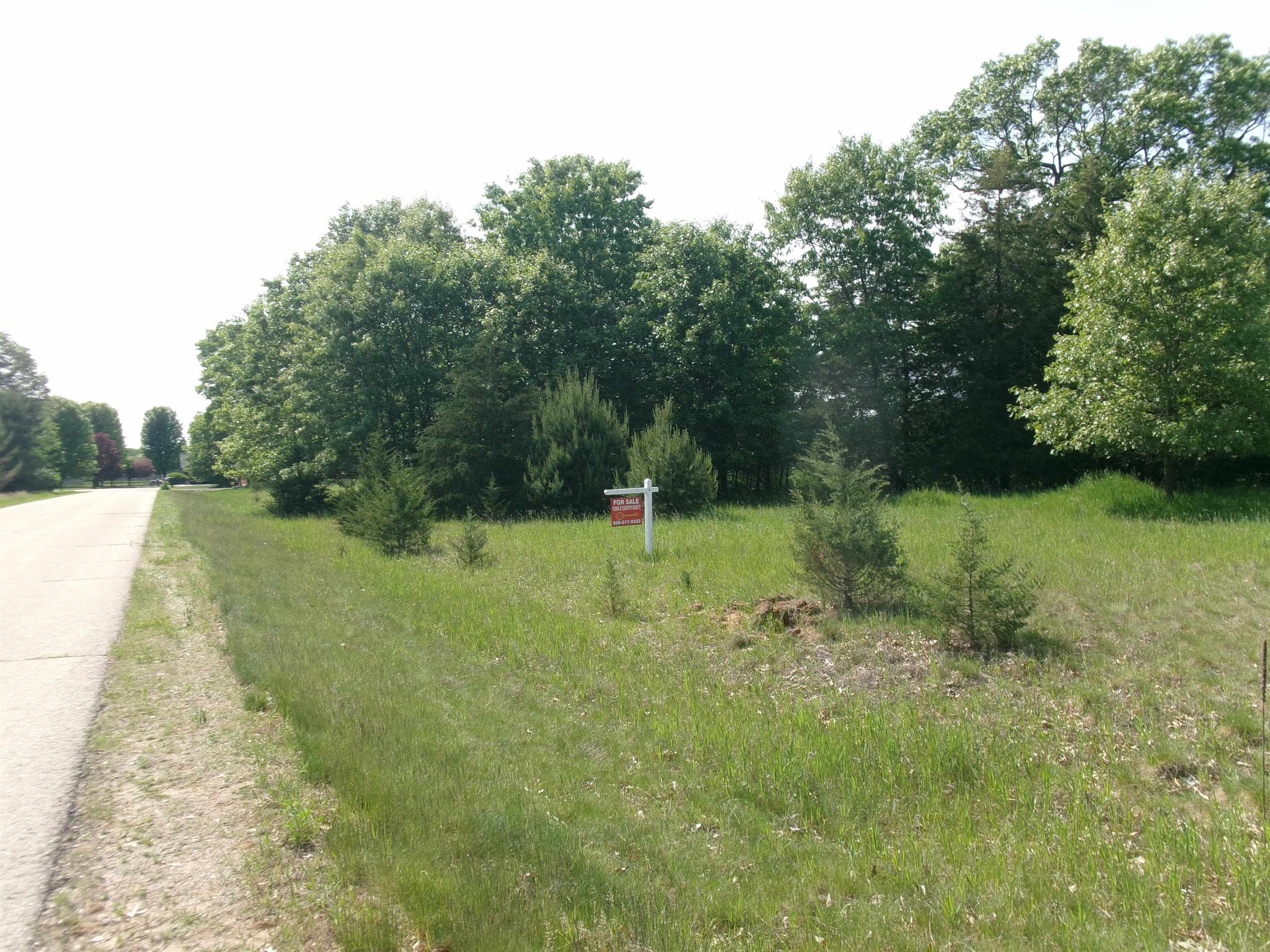 71 Deerpath Drive Montello, WI 53949 - Photo 9 of 13