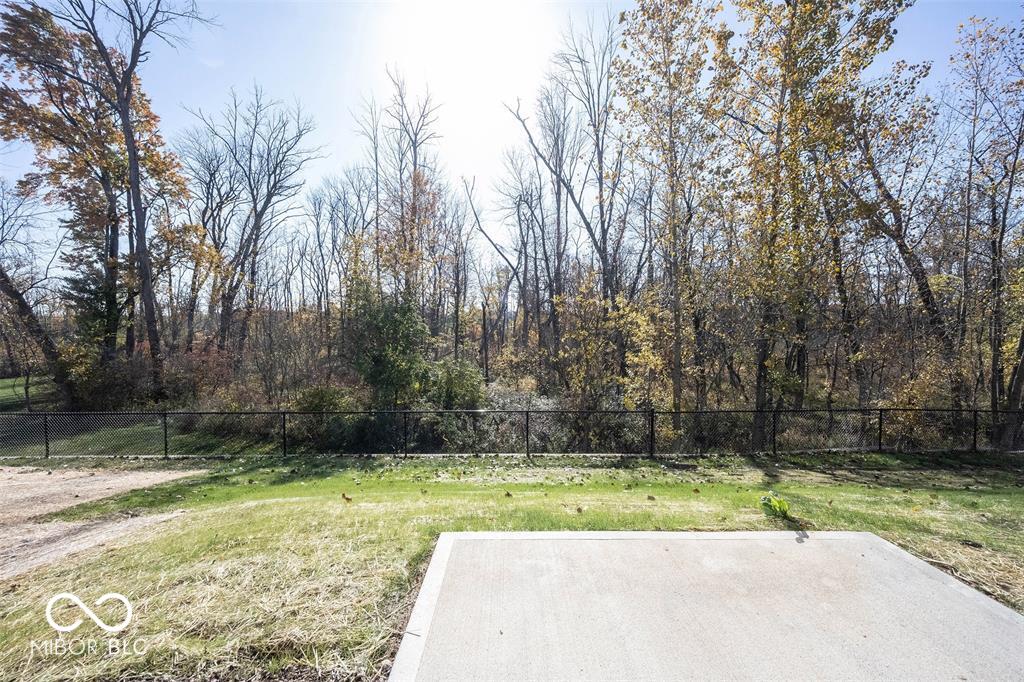 14257 Tenbury Way Fishers, IN 46037 - Photo 54 of 60