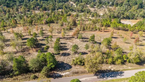 a view of outdoor space and covered with green space