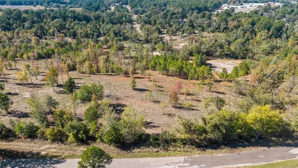 a view of a yard with plants and trees
