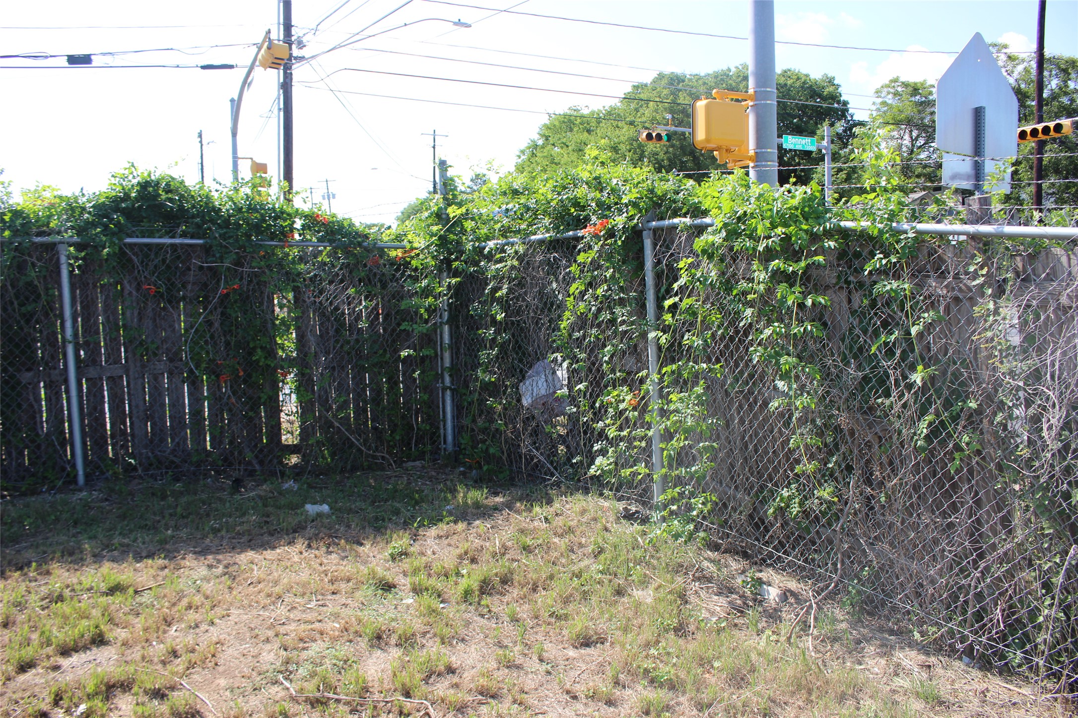 7109 Bennett Avenue Austin, TX 78752 - Photo 12 of 16 a view of a yard with plants and wooden fence