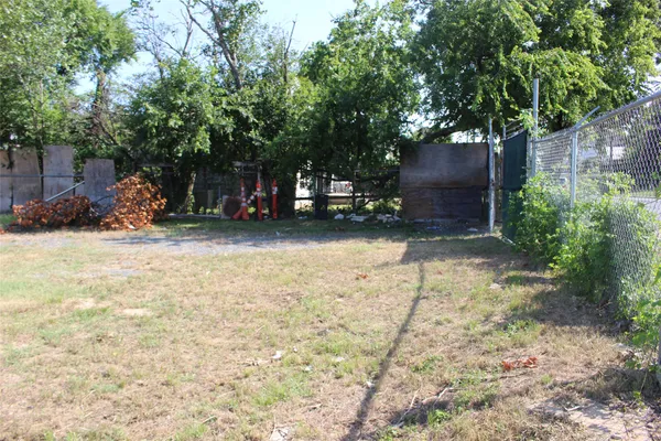 a view of a backyard with plants and large trees