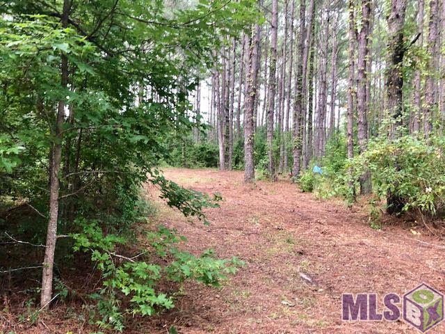 58 Quail Lane Crosby, MS 39633 - Photo 15 of 18 Gallery Image 15