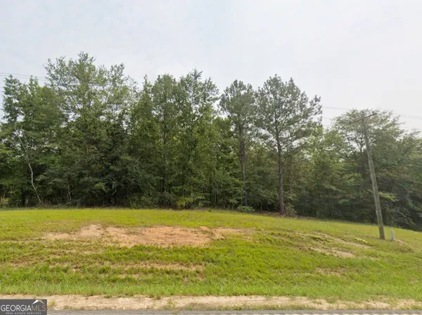 $42,950 | 0 East Old Wire Road, Unit 12, Butler, GA 31006