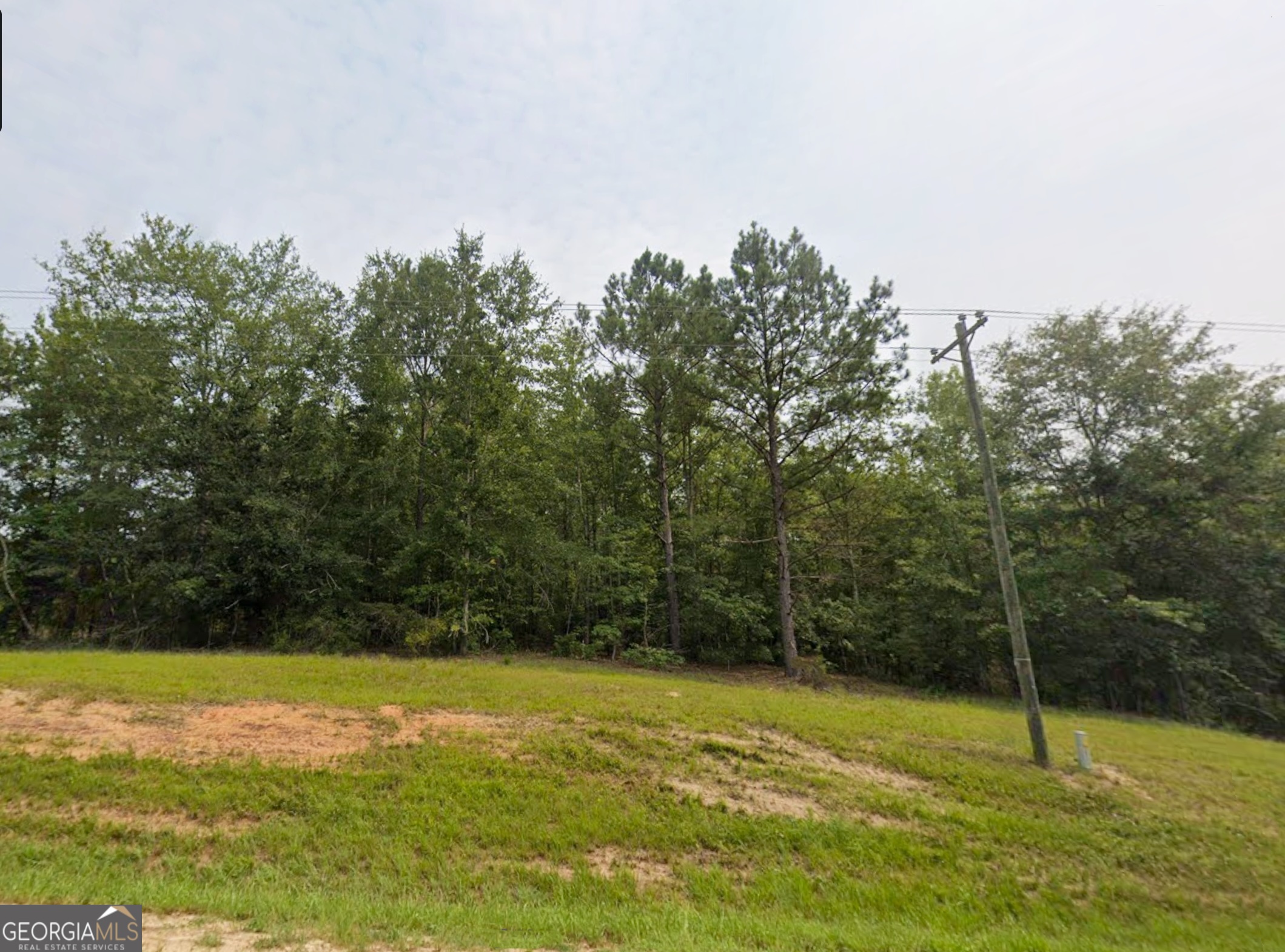 0 East Old Wire Road, Unit 12 Butler, GA 31006 - Photo 2 of 18