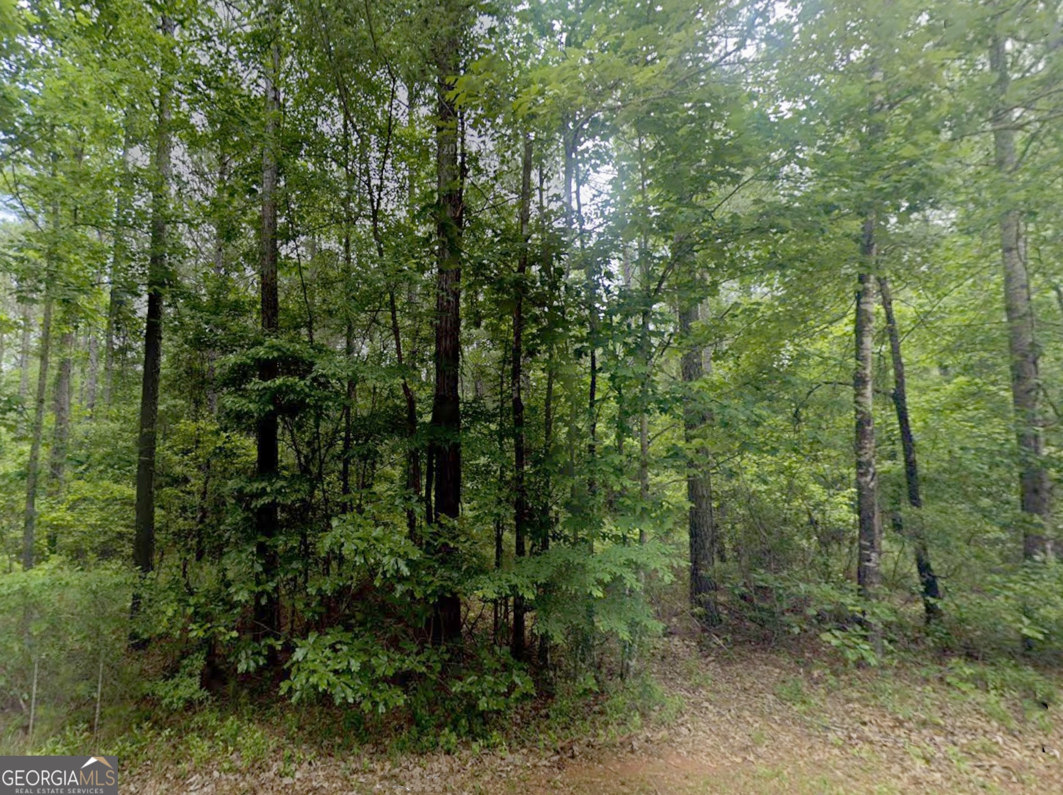 0 East Old Wire Road, Unit 12 Butler, GA 31006 - Photo 3 of 18