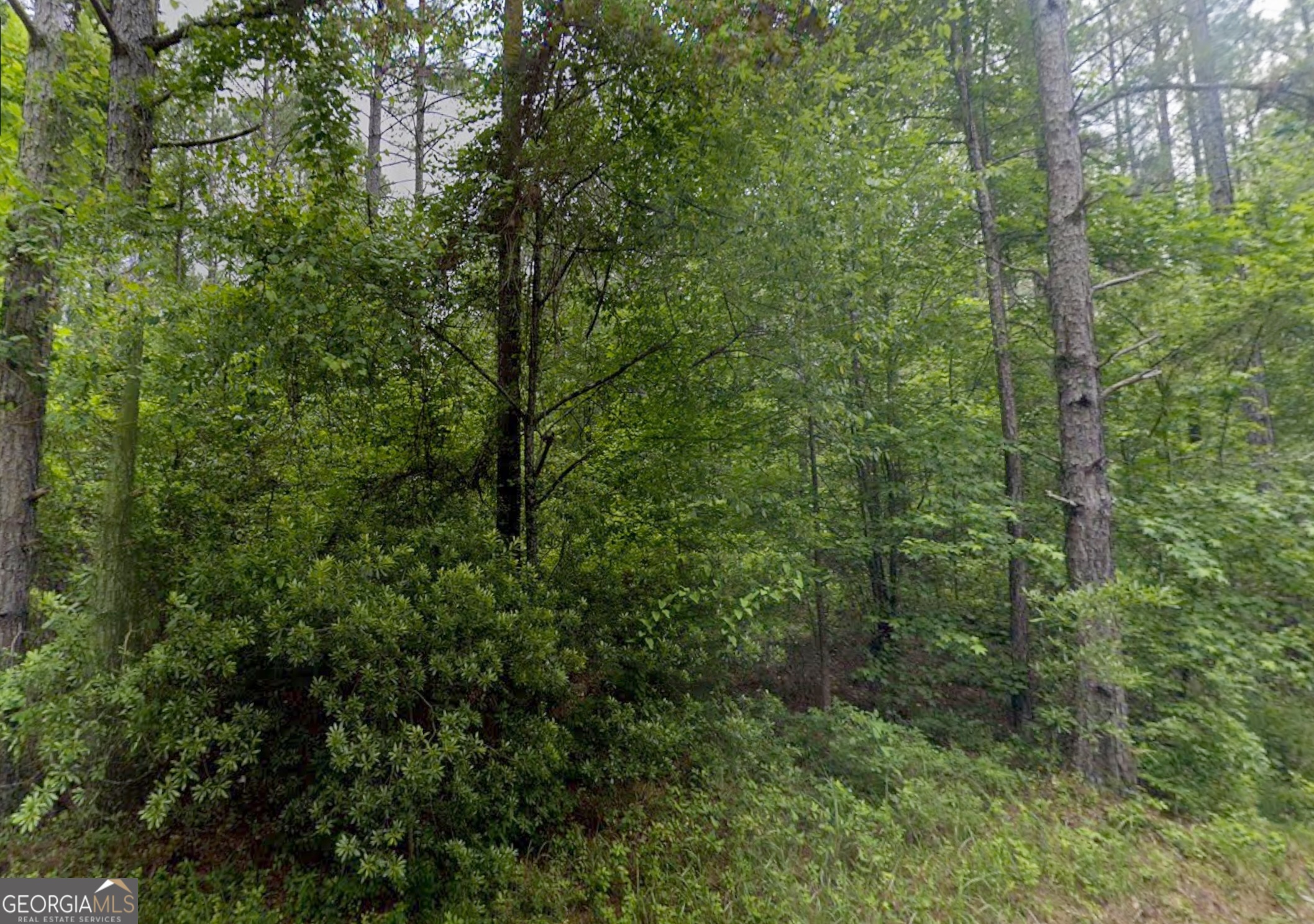 0 East Old Wire Road, Unit 12 Butler, GA 31006 - Photo 4 of 18