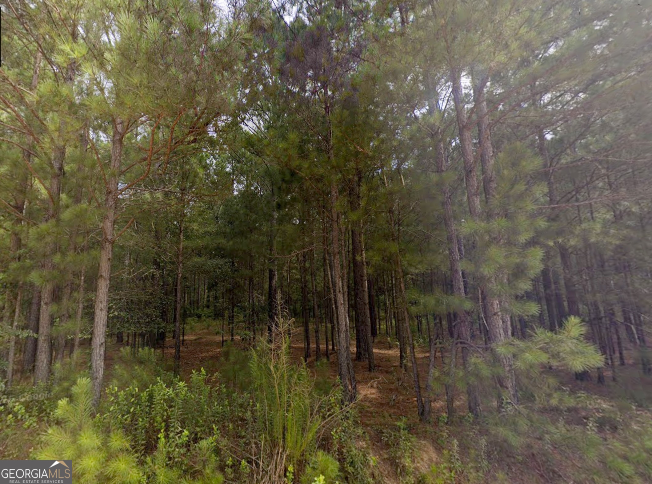 0 East Old Wire Road, Unit 12 Butler, GA 31006 - Photo 5 of 18
