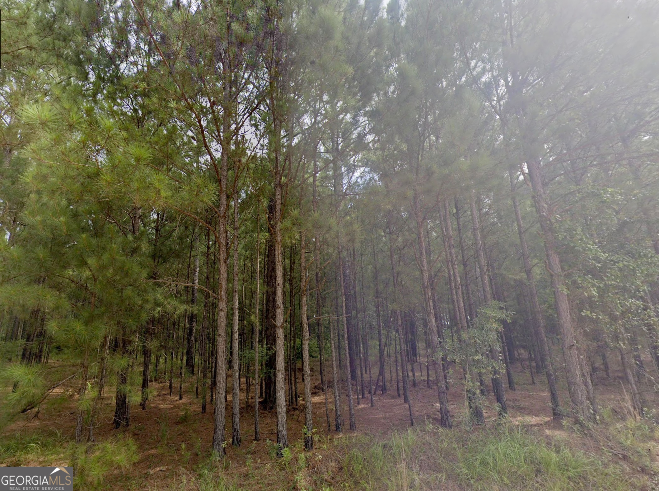 0 East Old Wire Road, Unit 12 Butler, GA 31006 - Photo 6 of 18
