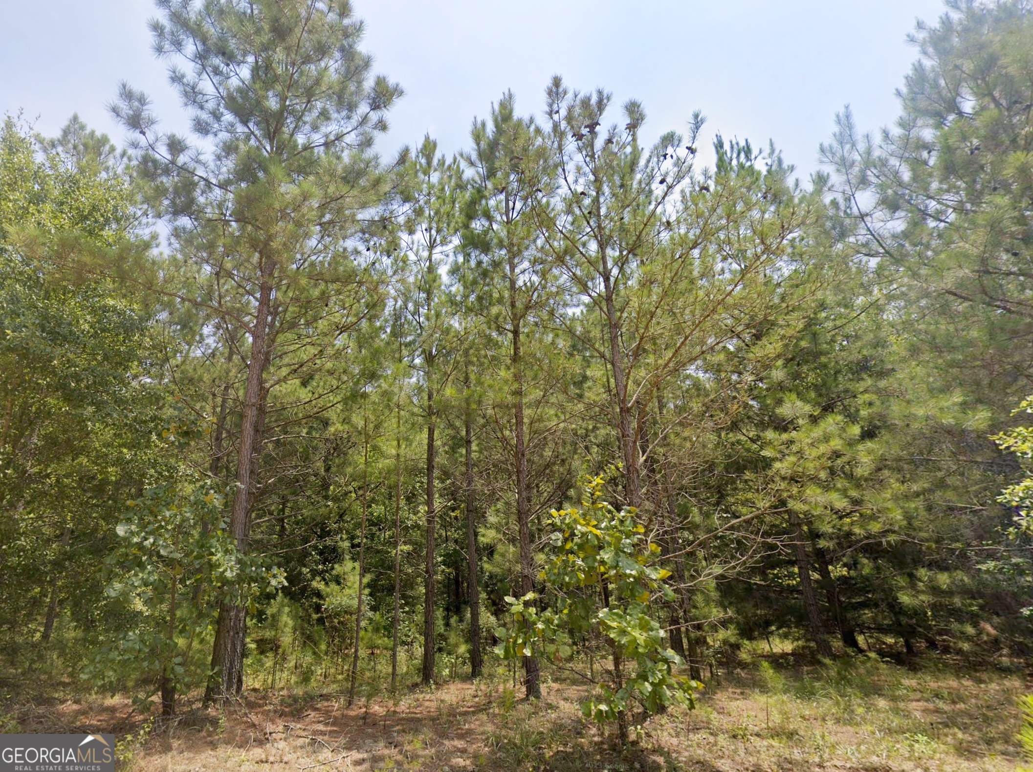 0 East Old Wire Road, Unit 12 Butler, GA 31006 - Photo 8 of 18