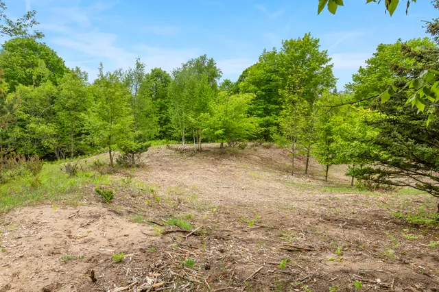 $125,000 | 15380 Lake Bluff Drive, Arcadia, MI 49613