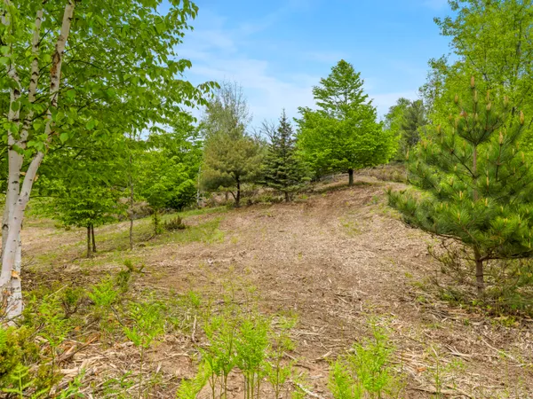 $115,000 | 15380 Lake Bluff Drive, Arcadia, MI 49613