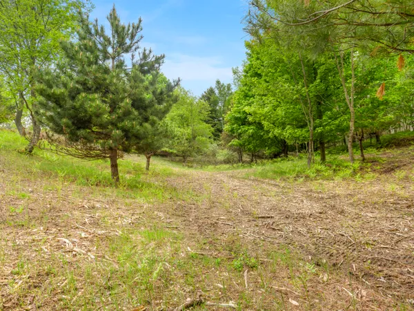 $115,000 | 15380 Lake Bluff Drive, Arcadia, MI 49613