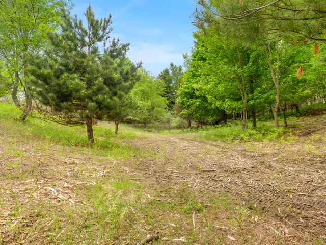 $125,000 | 15380 Lake Bluff Drive, Arcadia, MI 49613